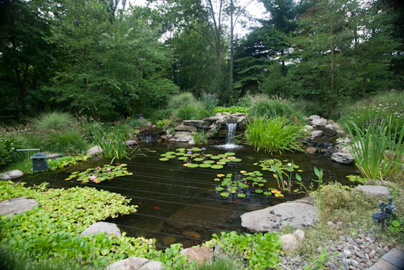 One of the ponds we maintain