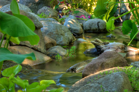 Stream feeding into a water garden
